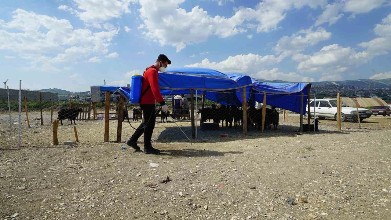 Kahramanmaraşta bayram temizliği ve ilaçlama çalışmaları sürüyor