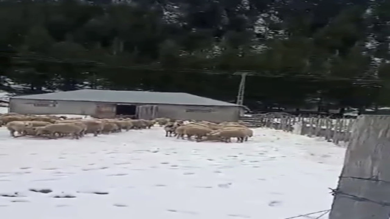 Kar kalınlığı 1 metreye ulaştı, mahsur kalan vatandaş kurtarıldı