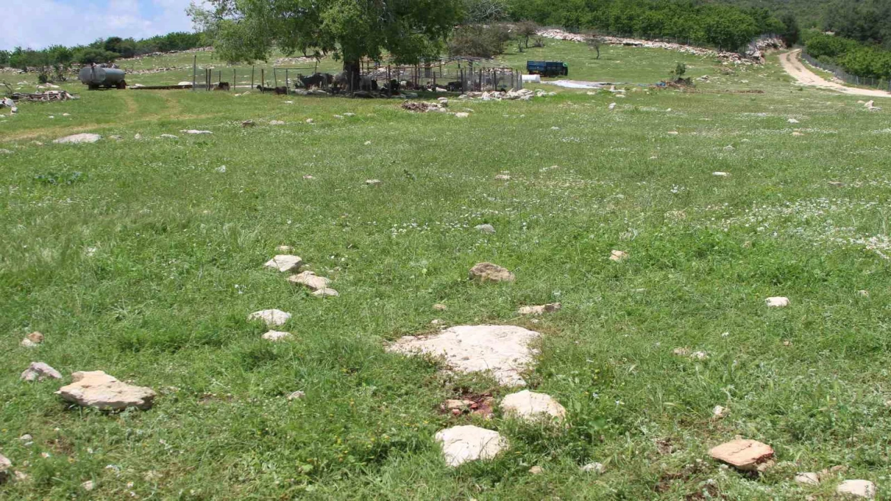 Katilin intihar ettiği yer görüntülendi: Fail kaçamayacağını anlayınca intihar etmiş
