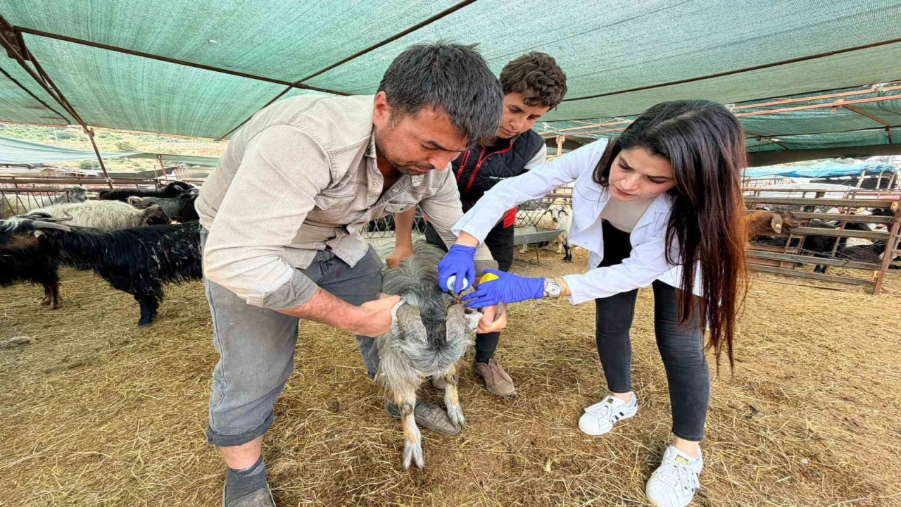 Kepezde kurban satış ve kesim yerleri denetim altında
