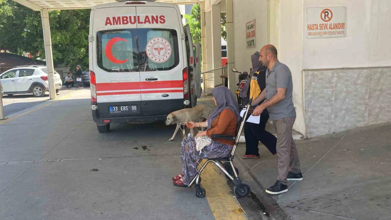 Mantar yiyen 7 kişi zehirlenme şüphesiyle hastaneye kaldırıldı