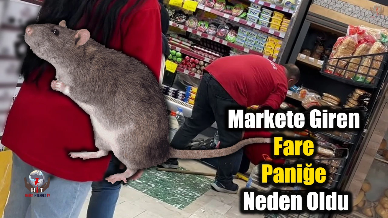 Markete giren fare paniğe neden oldu
