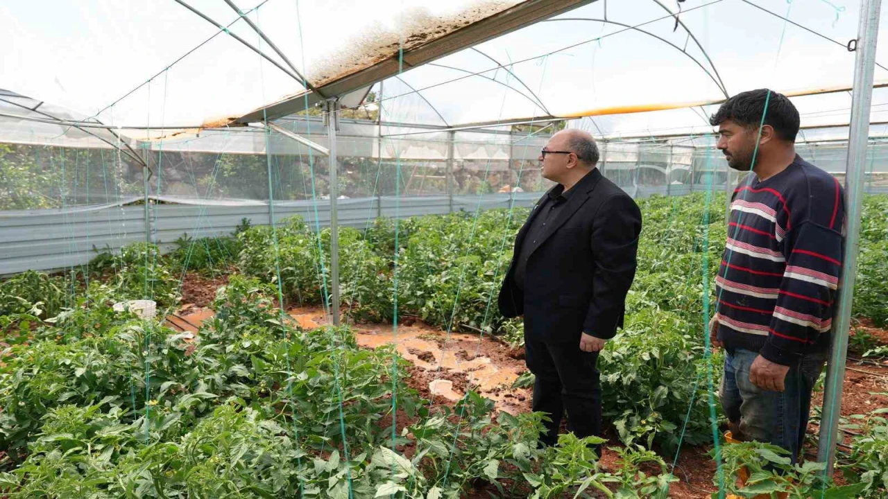 Mersinde dolu, sebze tarlaları ve meyve bahçelerine zarar verdi