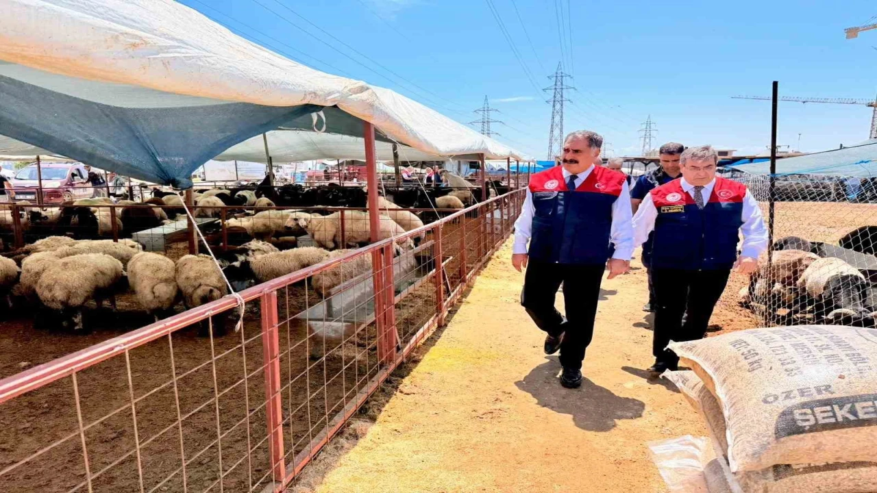 Mersinde Kurban Bayramı öncesi satış noktalarında sıkı denetim