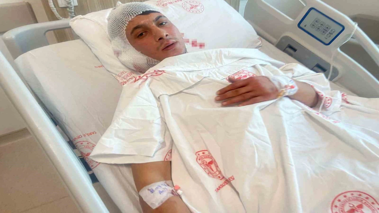 Mersindeki vahşette ölü sayısı 6ya yükseldi