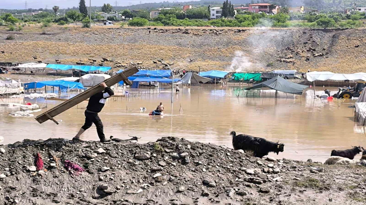Selle birlikte sular altında kalan pazarda hayvanları kurtarmak için çalışmalar sürüyor