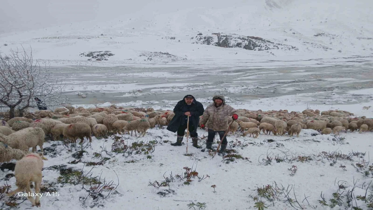 Tipi vurdu heyelan yolu kapattı, 2 çoban ve yaklaşık 650 küçükbaş hayvan yaylada mahsur kaldı