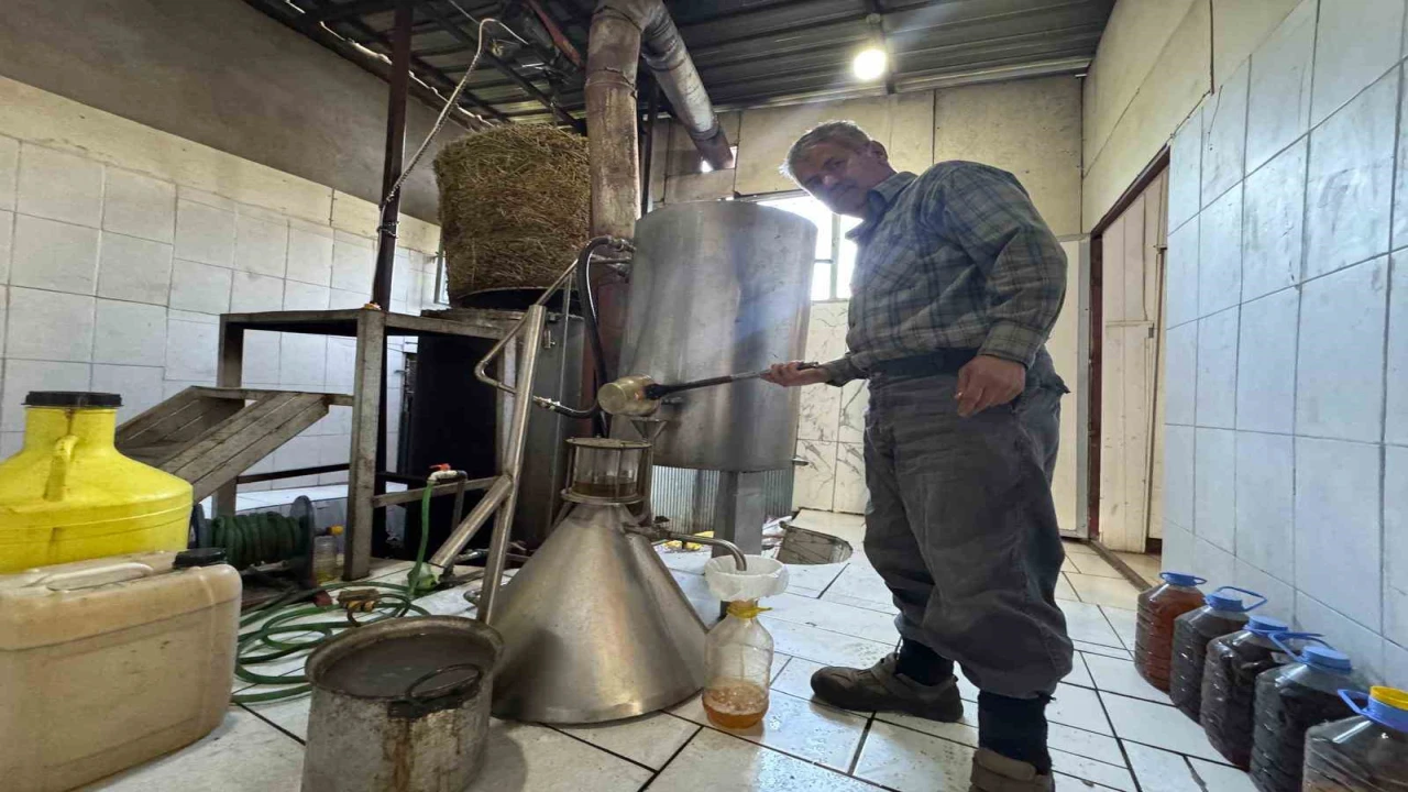 Toroslarda yetişen 31 farklı bitkinin yağını çıkartıp ülkenin dört bir yanına gönderiyor