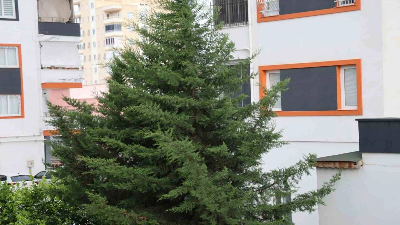 Adananın kuzey ilçelerinde kuvvetli rüzgar etkili oldu