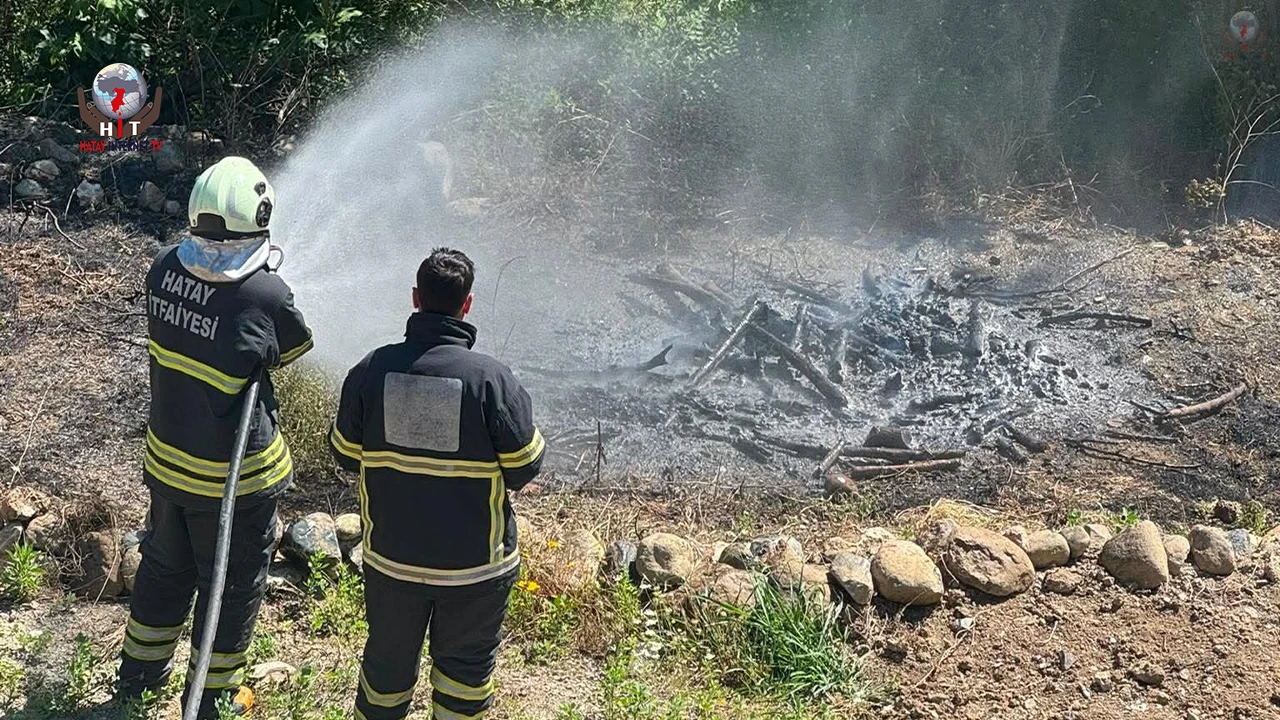 Antakyada zeytinlik alan yangını