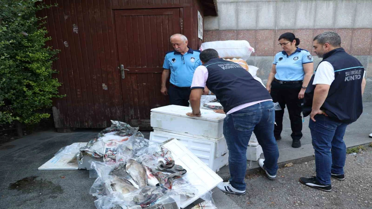 Antalya Otogarında balık operasyonu: 260 kilo ele geçirildi