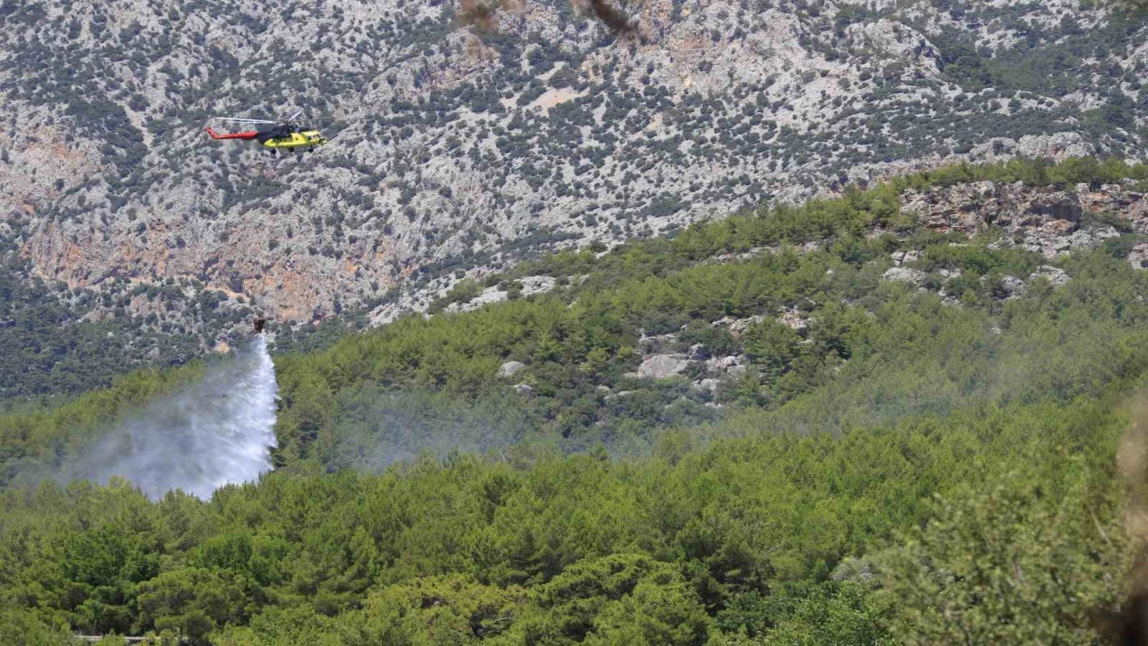 Antalyada ormanlık alanda çıkan yangın büyümeden kontrol altına alındı