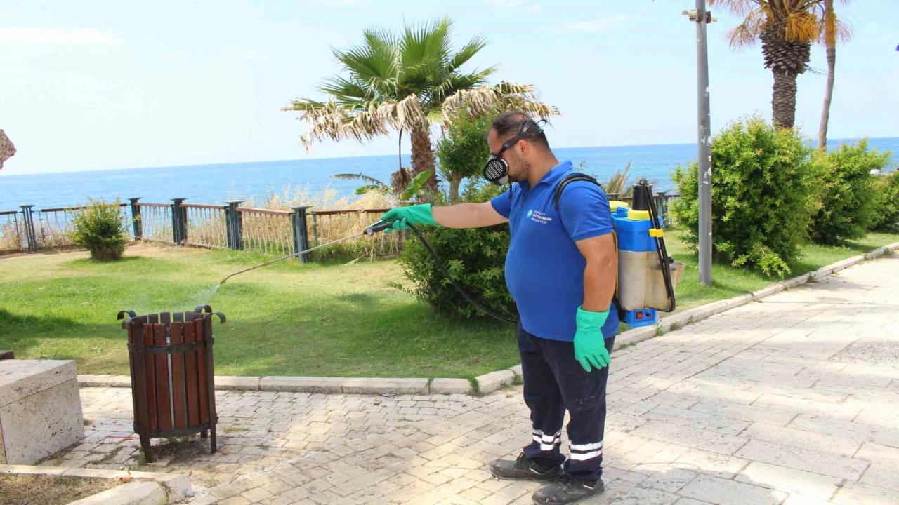 Antalyada vektörle mücadele 19 ilçede sürdürülüyor