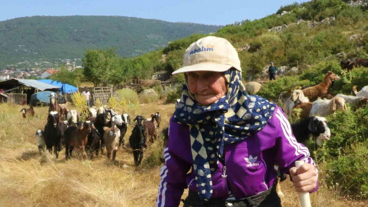 Antalyanın süper çobanı Emine Nine: 94 yaşında, 90 yıldır keçileriyle dağlarda