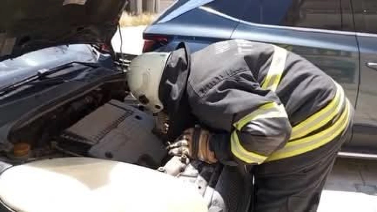 Arsuzda aracın motor kısmına giren yavru kedi kurtarıldı