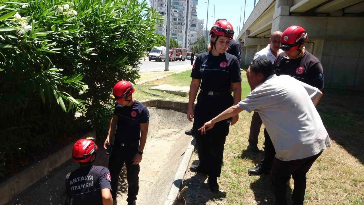Düştü diye ihbar ettiği babası bile düşmediğine ikna edemedi