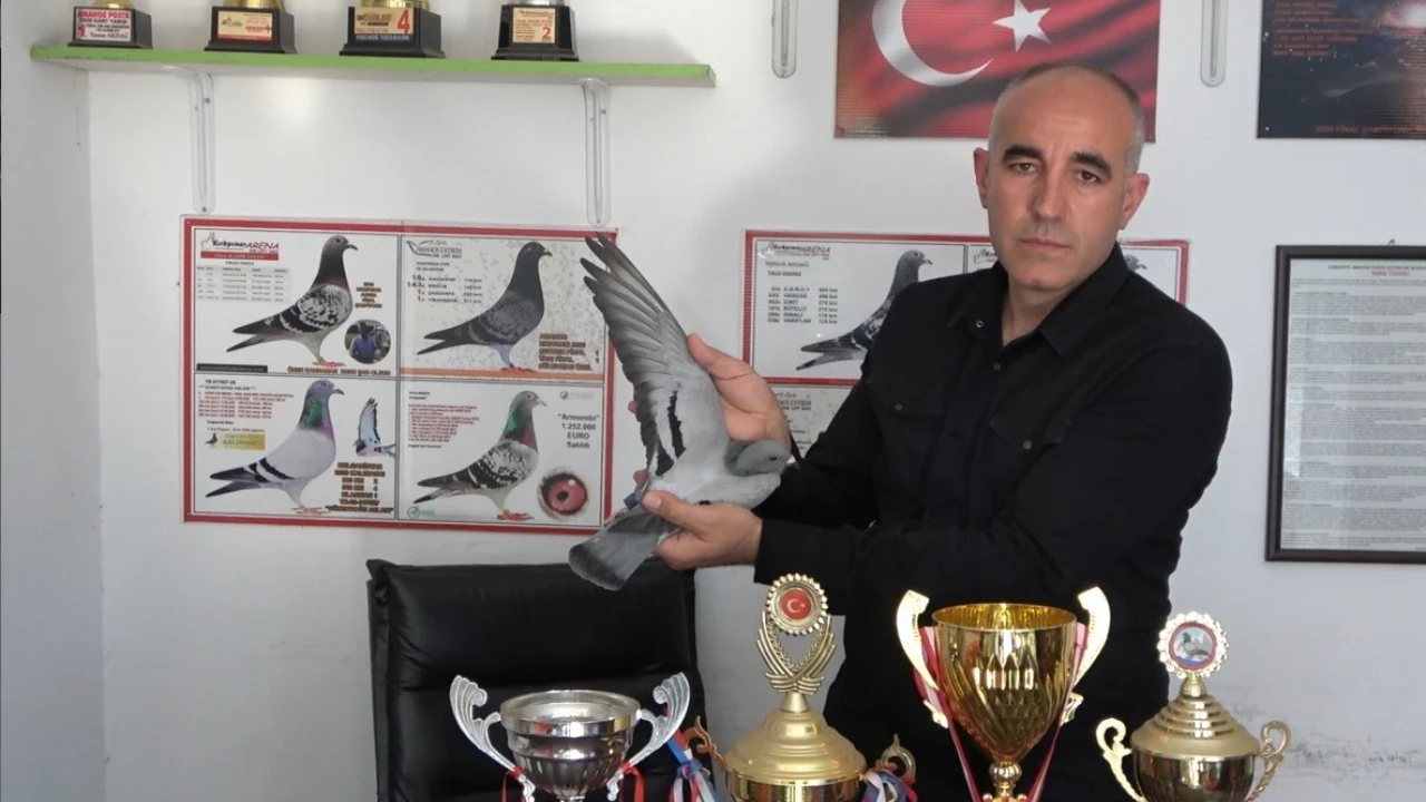 Ermenistan sınırından bırakılan güvercin bin kilometre yolu bir günde katederek evine döndü
