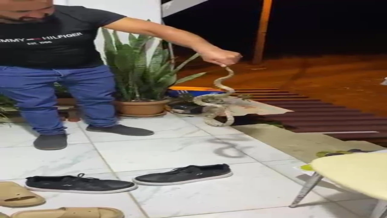 Evine giren yılanı Evime gelme bak, kafanı ezerim diyerek doğaya bıraktı