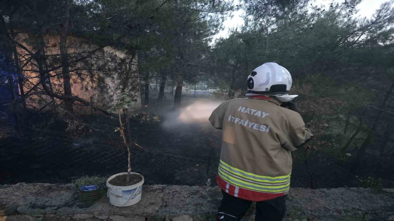 Hassada çamlık alan yangını