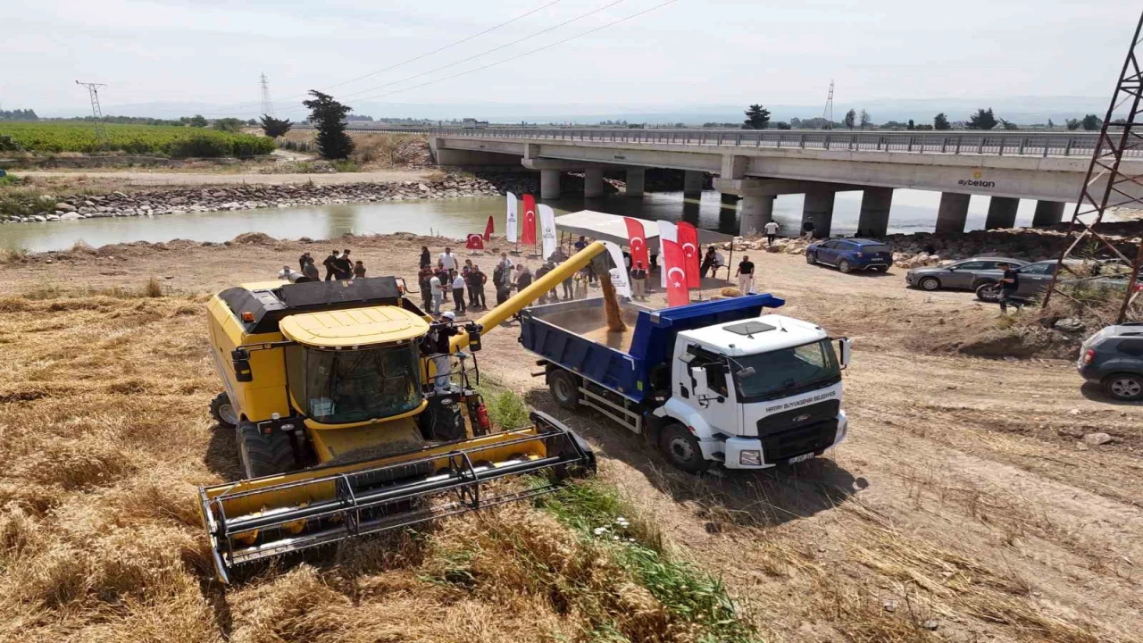 Hatayda her tohum bir gıda projesinde ekilen buğday hasat edildi