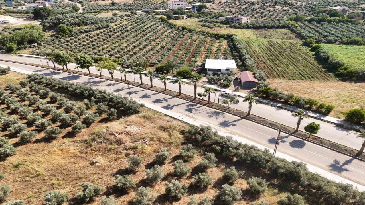 HBB, Hassada prestij cadde çalışmalarını sürdürüyor