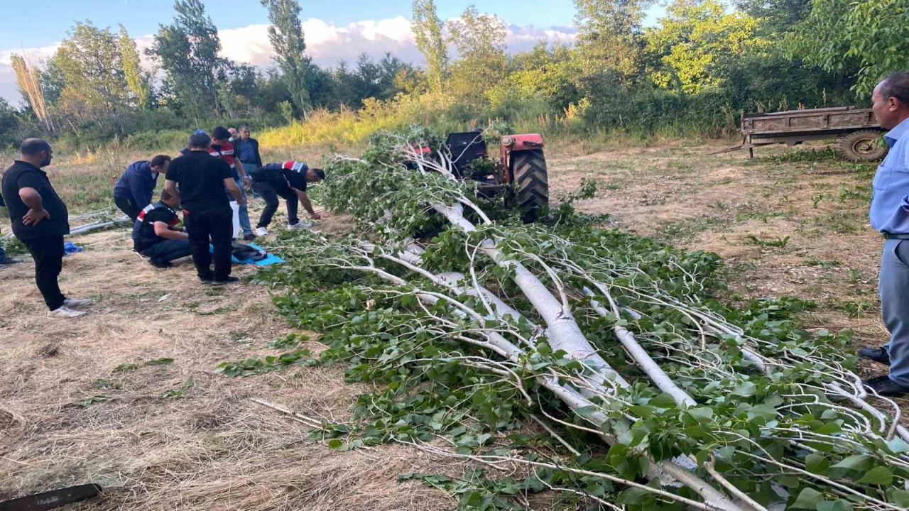 Ispartada kestiği ağacın altında kalan adam hayatını kaybetti