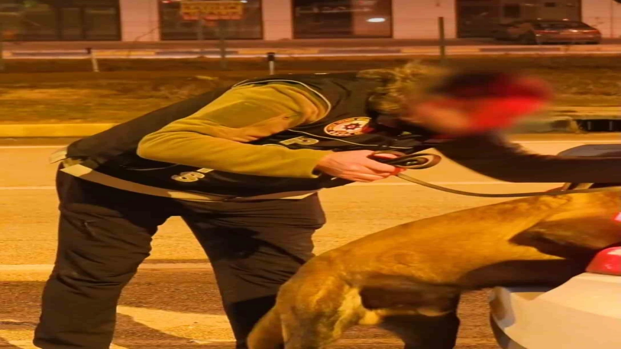 Ispartada narkotikten bir haftada 18 operasyon, 3 tutuklama
