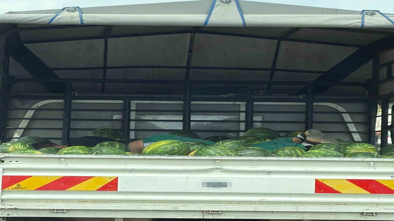 Karpuzlar arasında uyku gülümsetti