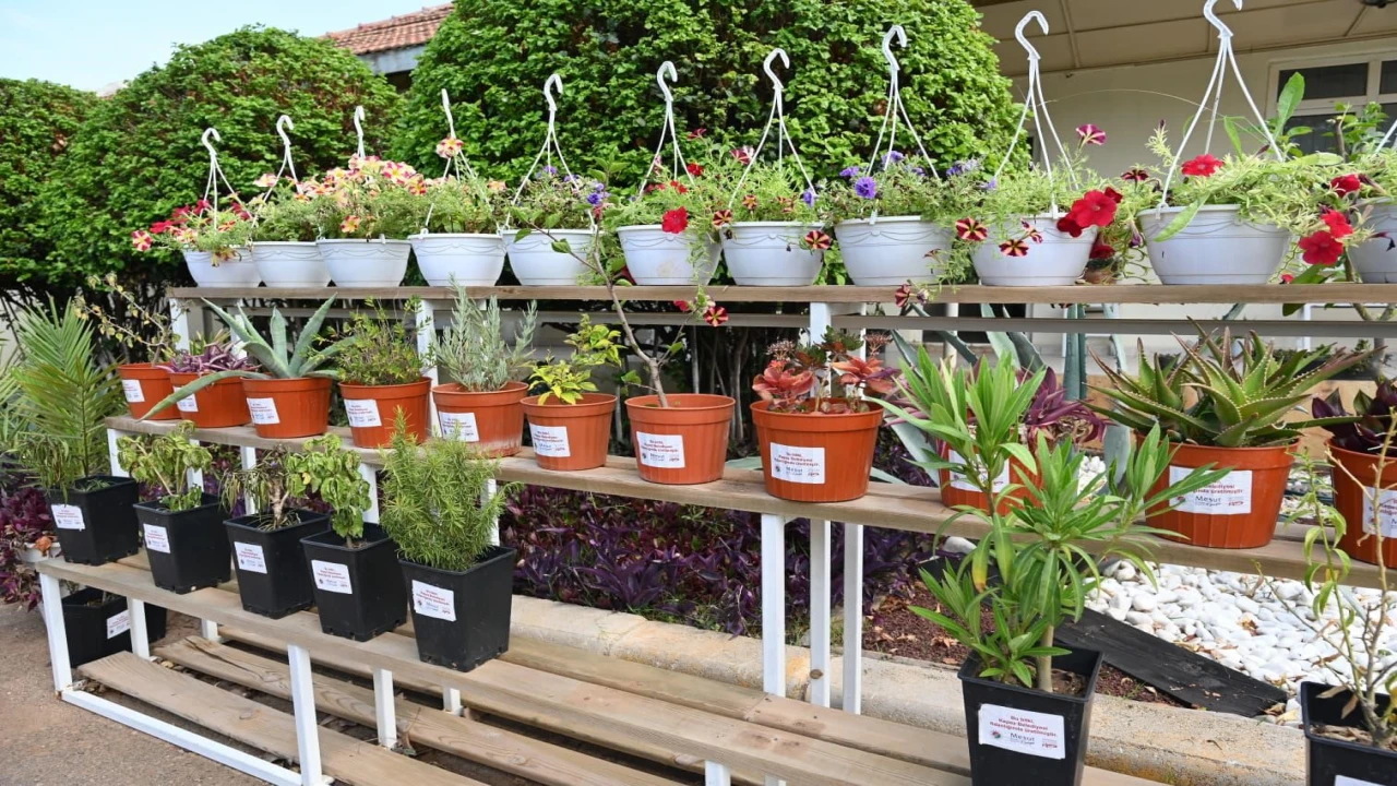 Kepez Bahçe Market Antalyanın hizmetine açılıyor