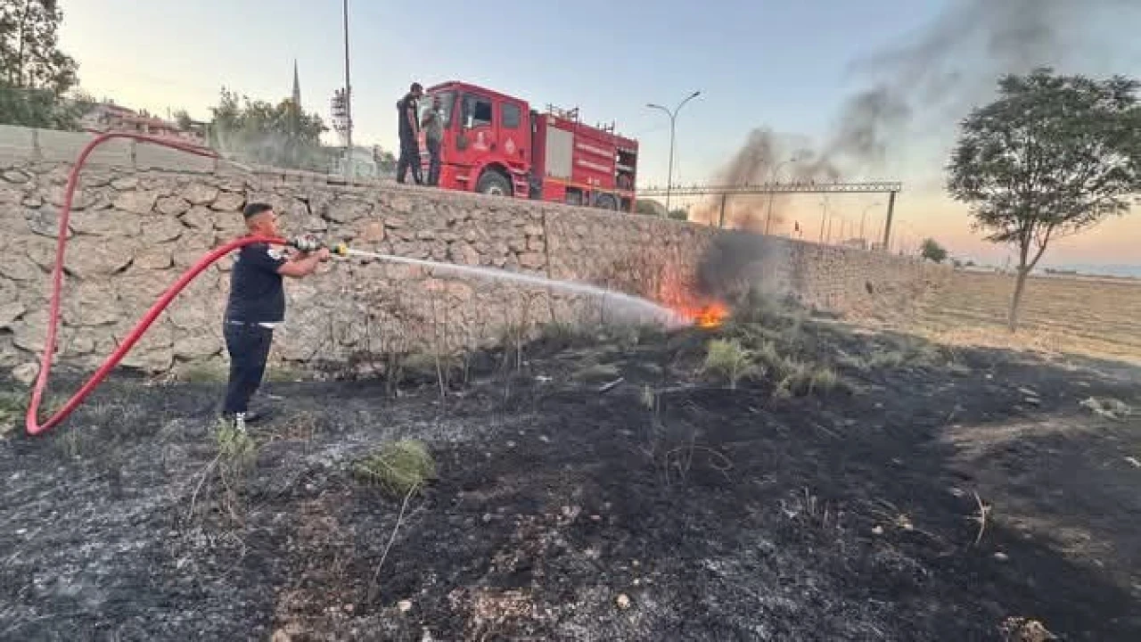 Kırıkhanda zeytinlik alan yangını