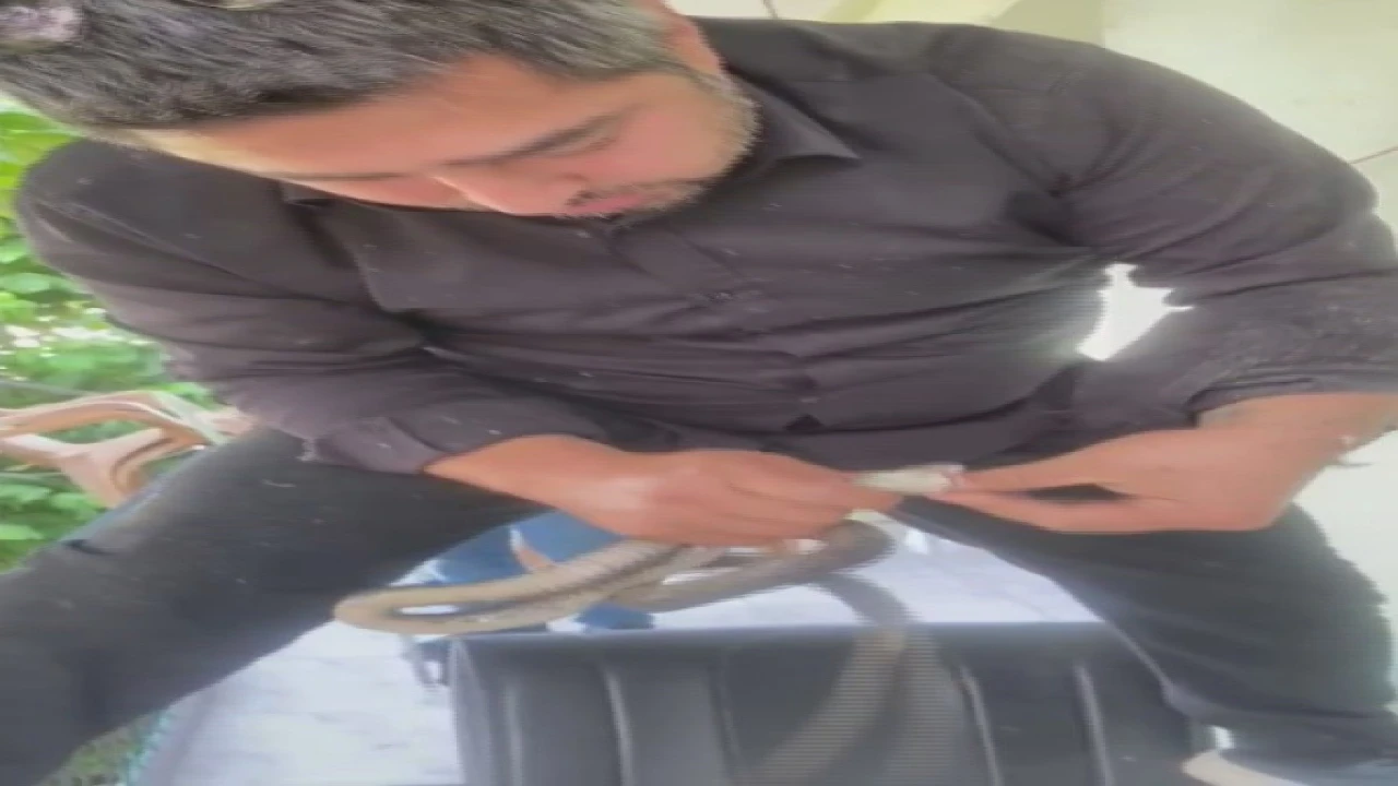 Klima ünitesinin boru hattında yakaladığı yılanı Sevgili yılan insanlardan uzak dur, yoksa ne yaparlar biliyorsun diyerek doğaya saldı