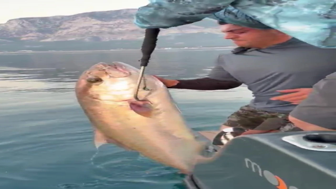 Konyaaltı Sahilinde 56 kilogramlık kuzu balığı şaşkınlığı