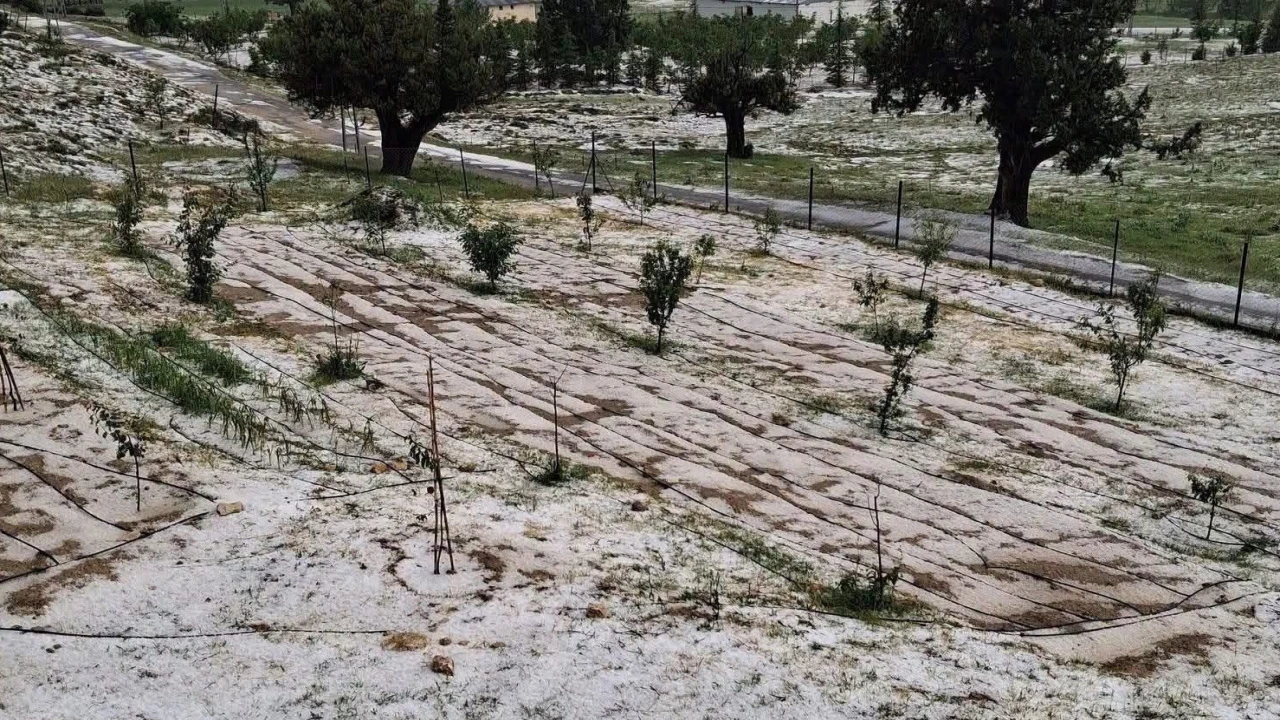 Mersin Erdemlide dolu tarım alanlarına zarar verdi