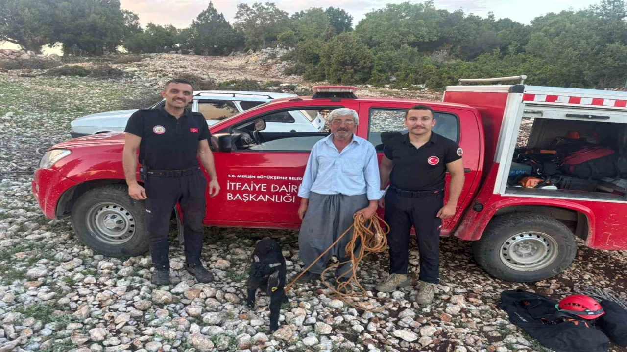 Mersinde 70 metrelik mağarada mahsur kalan oğlak kurtarıldı