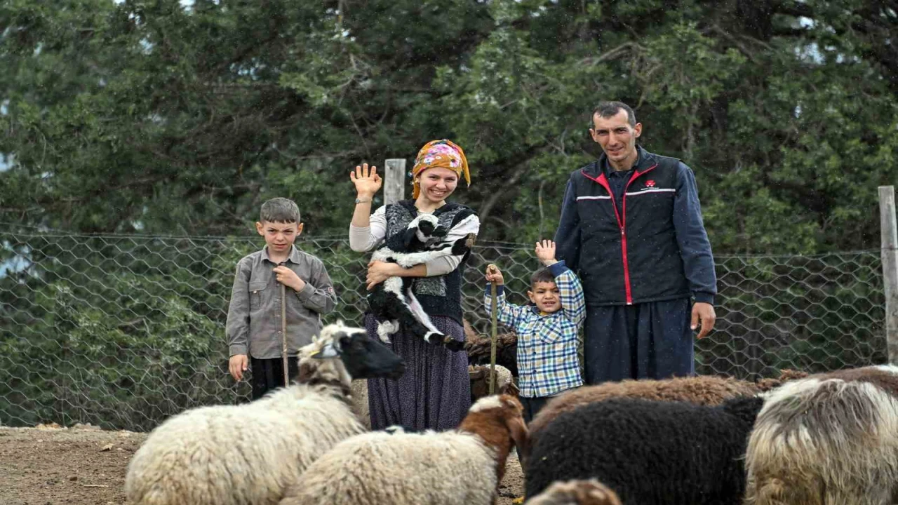 Mersinde bir koyun alamayan aile sürü sahibi oldu