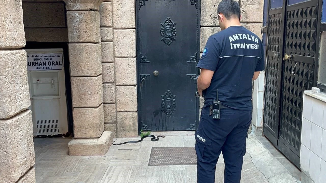 Namaza gelen cemaat karşılaştıkları yılanı önce oy