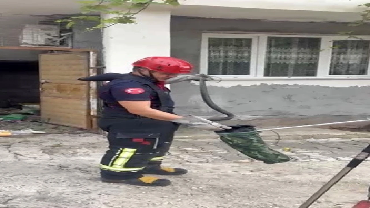 Osmaniyede evin bahçesinde görülen yılan yakalandı