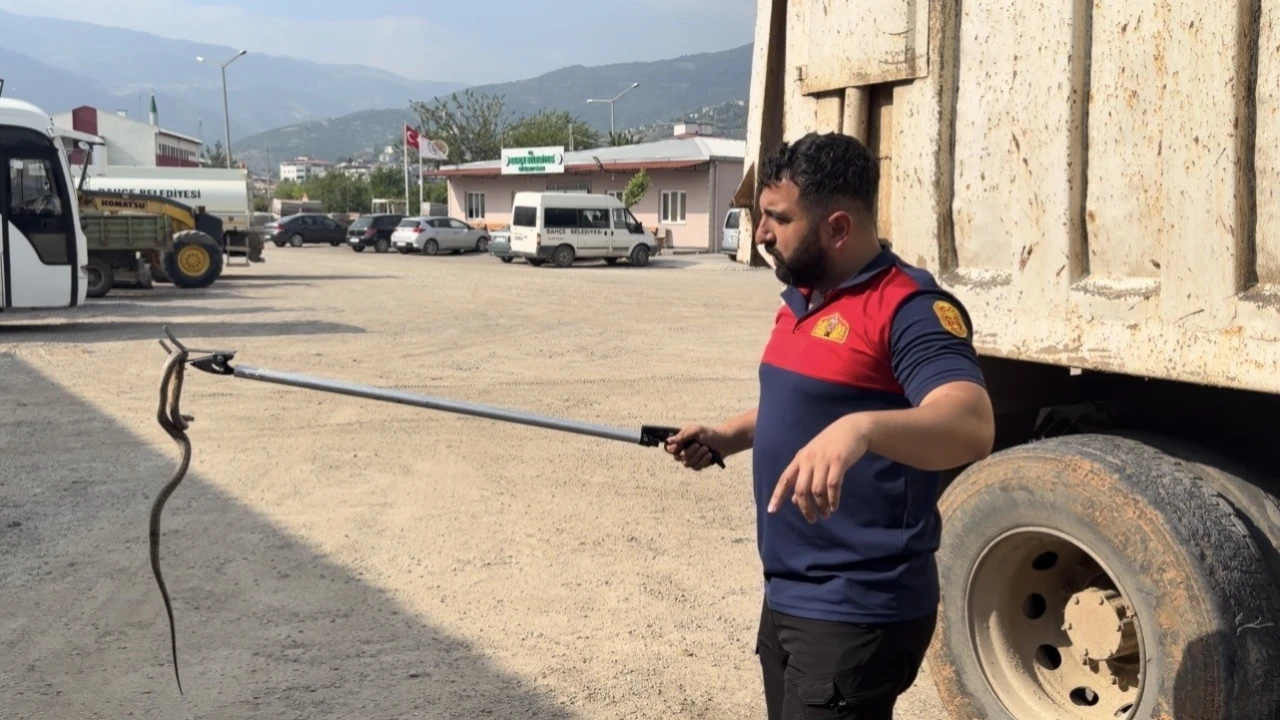 Osmaniyede kaçak yolcu yılan, üçüncü araçta yakalandı