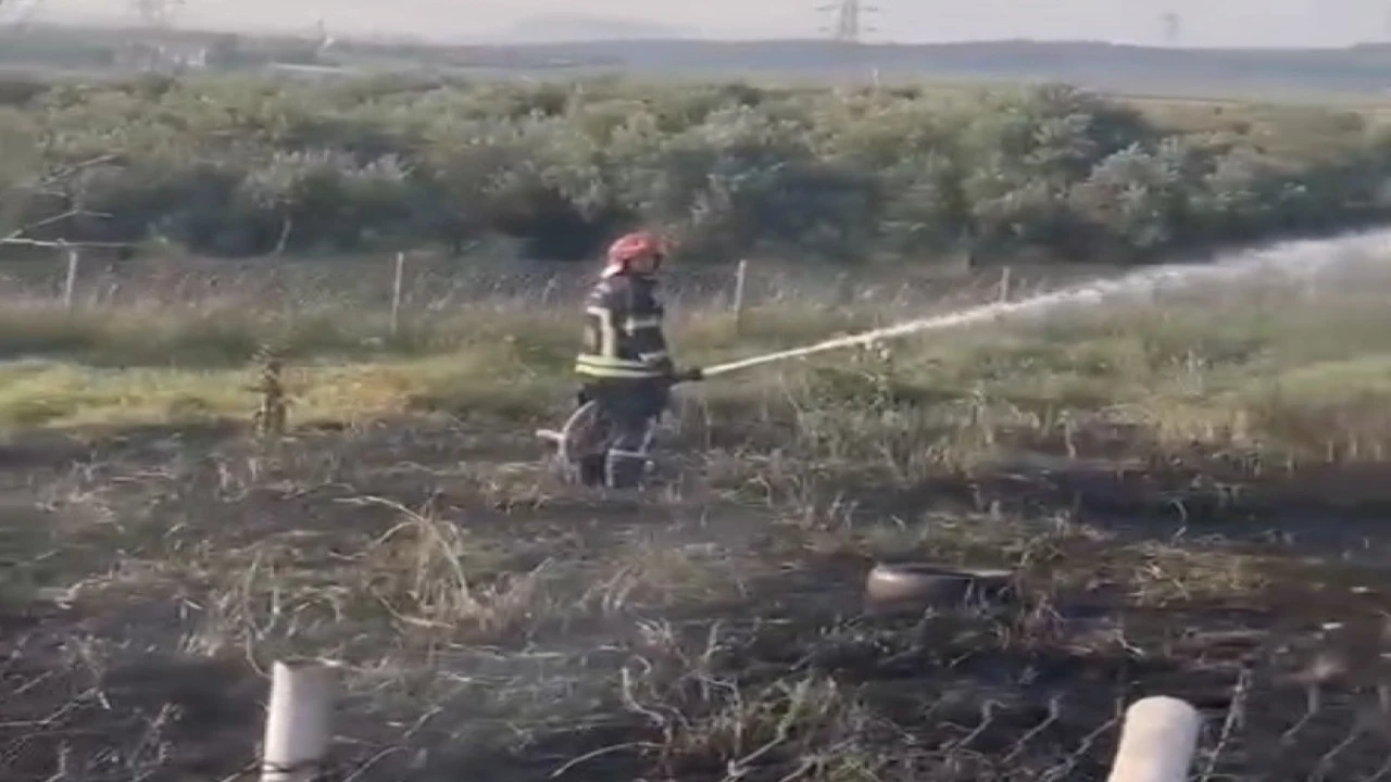 Osmaniyede tankerin lastiklerinden çıkan yangın zeytin bahçesine sıçradı