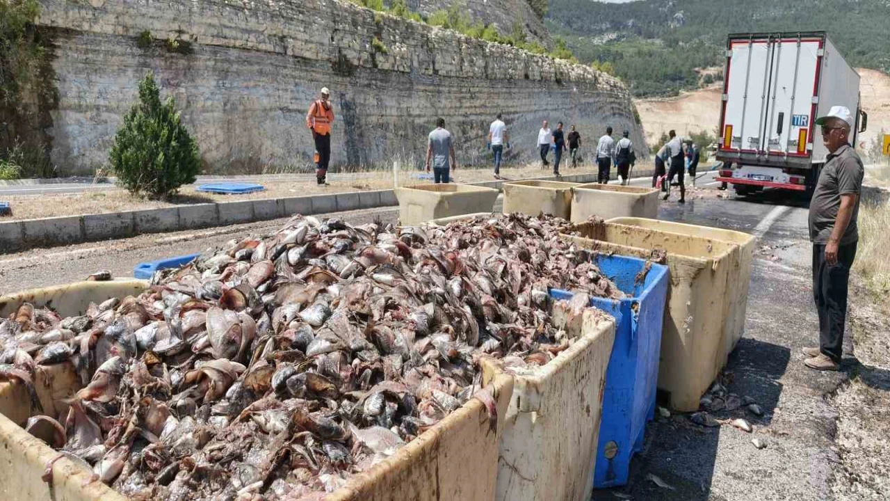 Seyir halindeki tırın dorsesi patladı, 15 ton balık atığı yola saçıldı