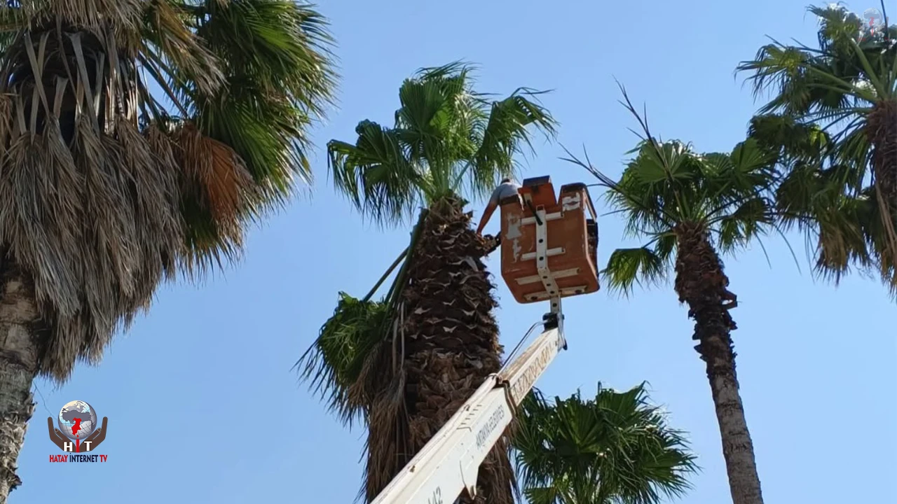 YAPAR: MAHALLE MAHALLE, PARK PARK ÇALIŞIYORUZ