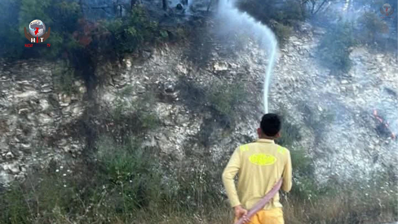 Yayladağında ormanlık alanda çıkan yangın kontrol altına alındı