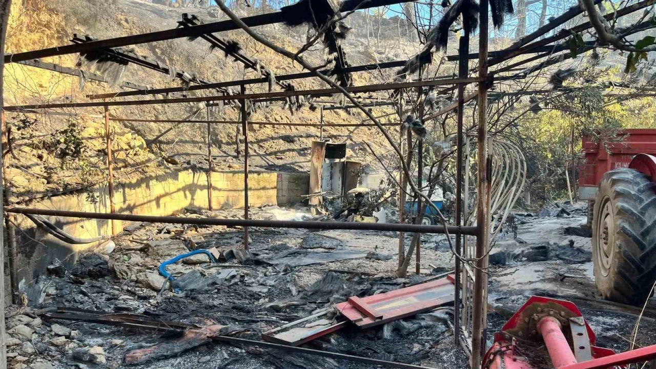 Alanyada orman yangını muz seralarına sıçradı: 17 hektarlık alan zarar gördü