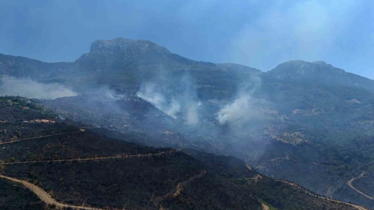 Alanyadaki orman yangınında mücadele ikinci gününde: Bölge dron ile görüntülendi