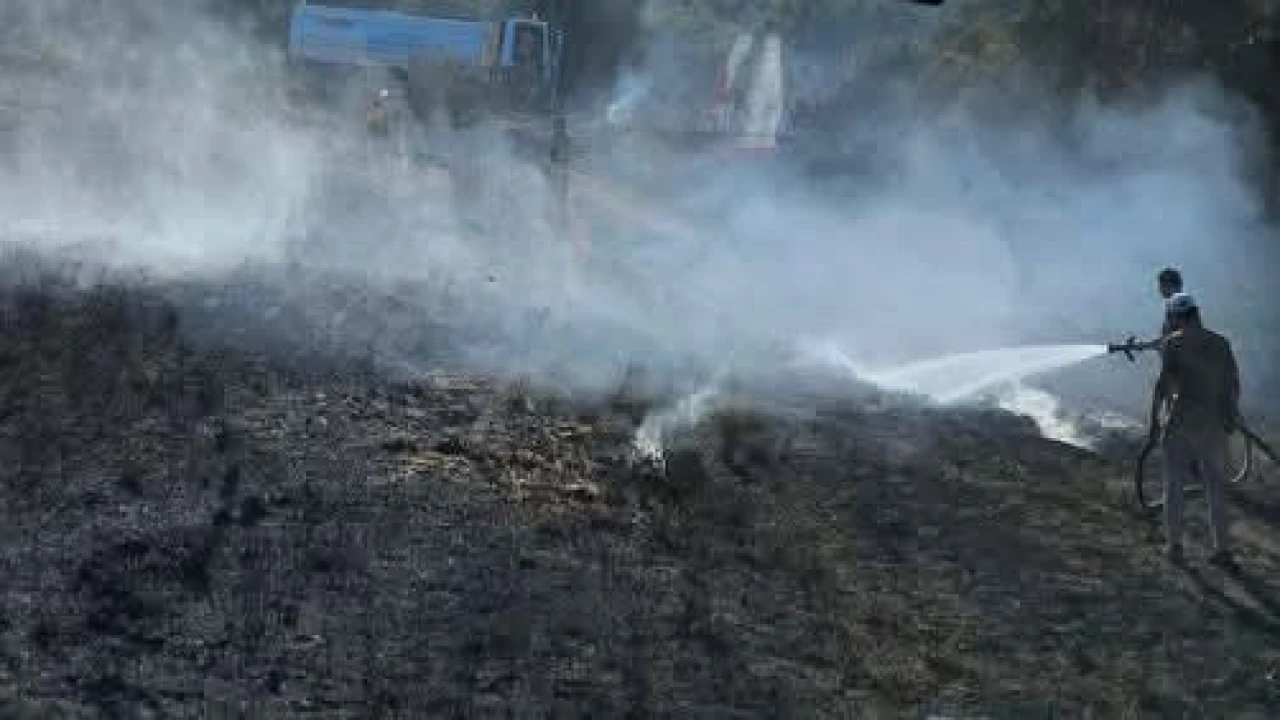 Antakyada bahçe yangını