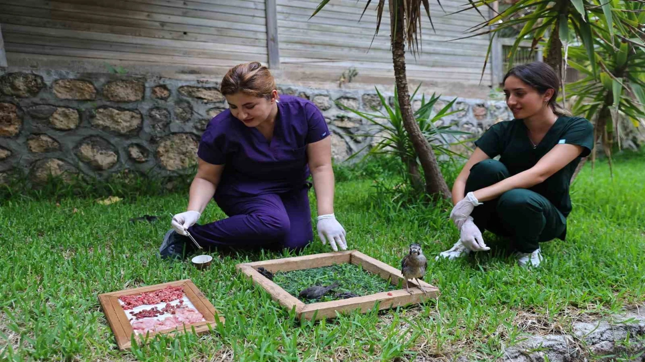 Antalya Doğal Yaşam Parkında tam donanımlı klinik hizmeti