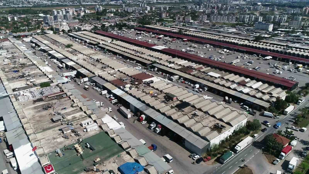 Antalyada haziranda domates ve meyvede işlem miktarı arttı