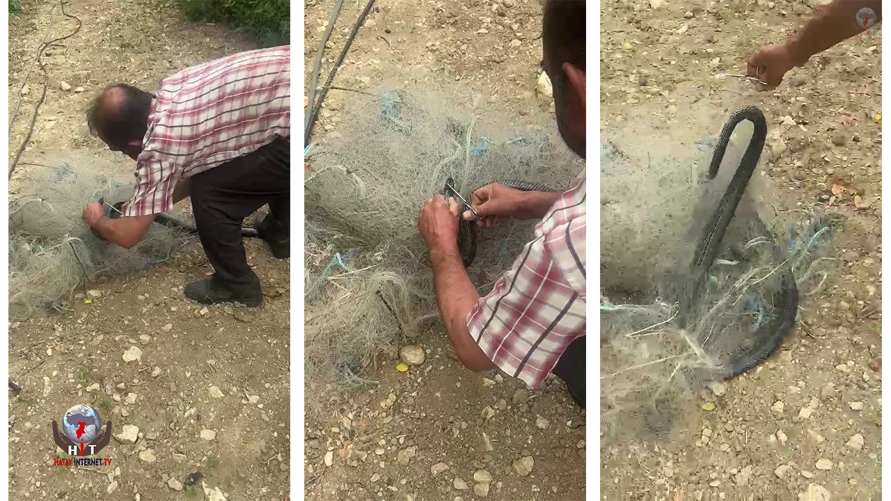 Balık ağında mahsur kılan yılanı elleriyle kurtardı
