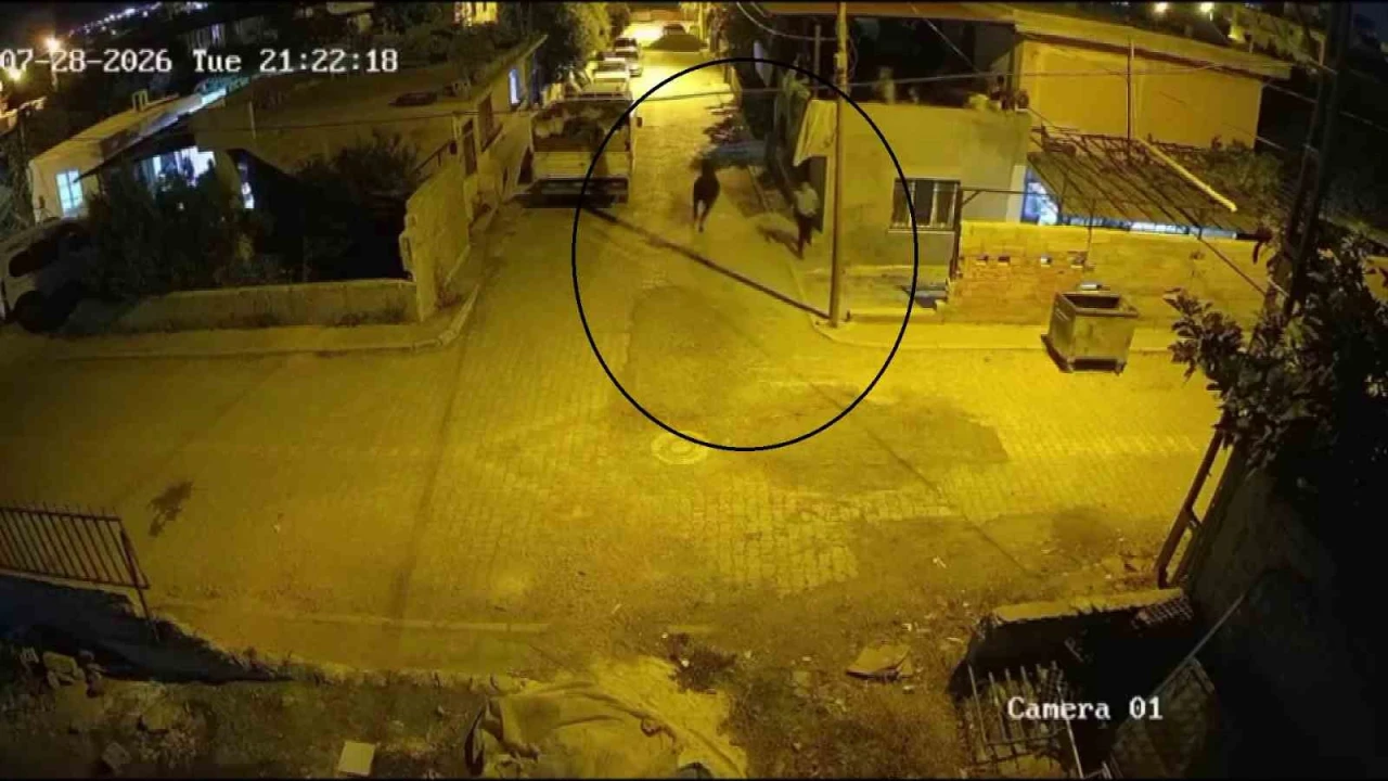 Firari angus mahalleliye korku dolu anlar yaşattı