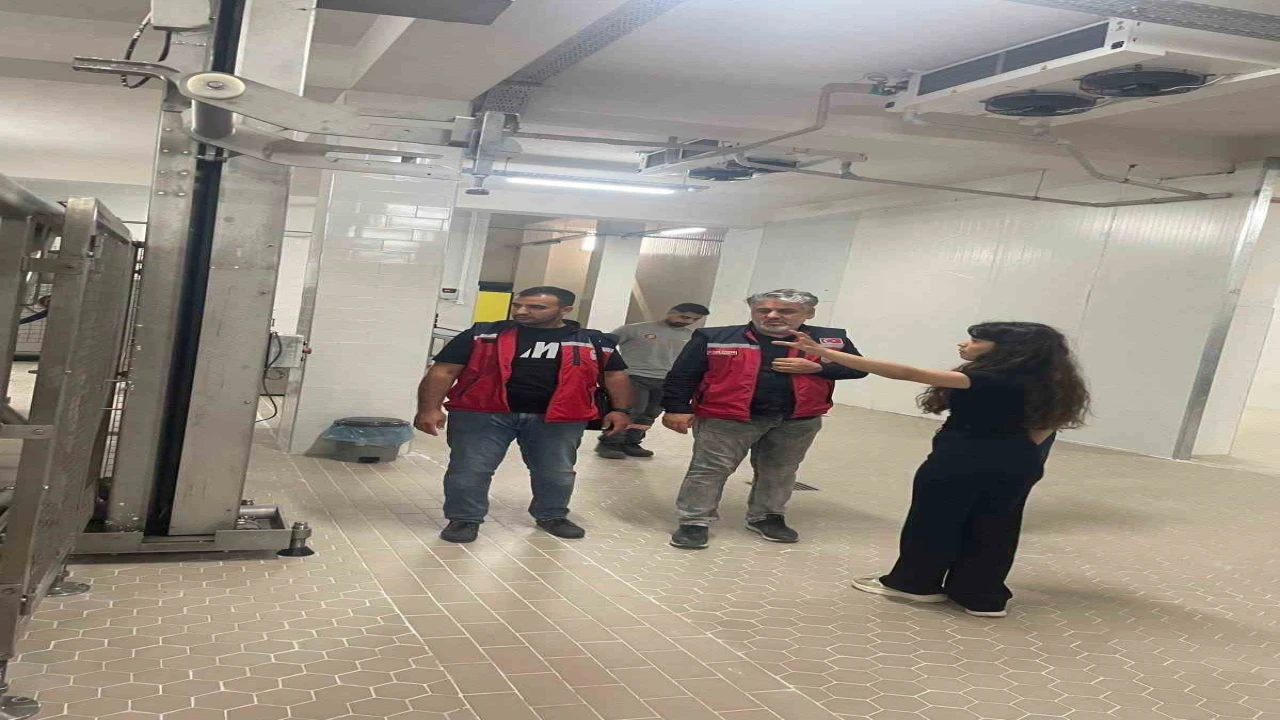 Hatayda evcil hayvan yaş mama üretim tesisinde denetim gerçekleştirildi